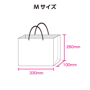 販売 どのくらいのサイズのバッグ ビニール袋 試し