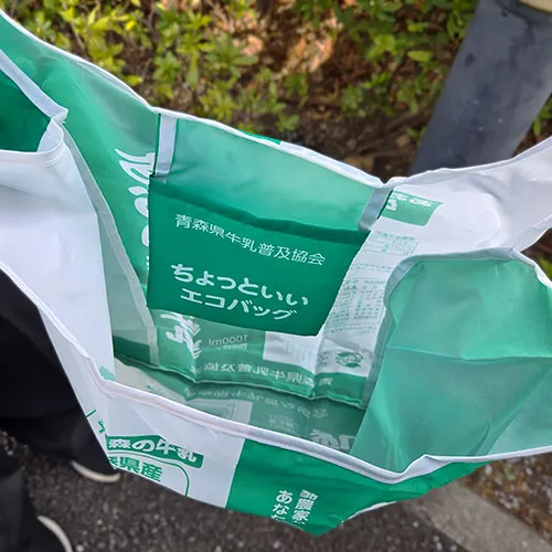 折りたたみバッグ フルカラー 総柄 全面印刷 エコバッグ オリジナルエコバッグ